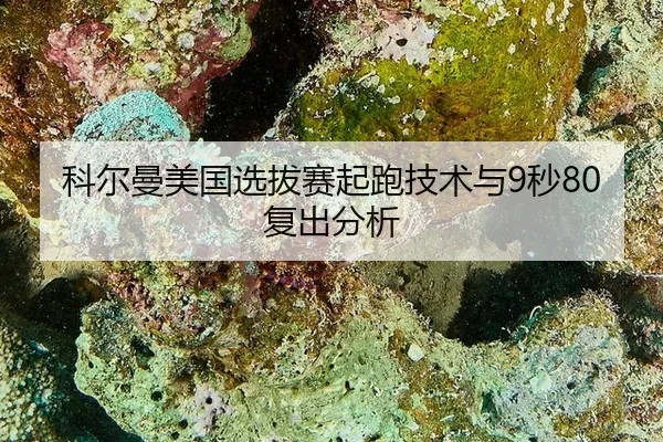 ke-er-man-mei-guo-xuan-ba-sai-qi-pao-ji-shu-yu-miao-fu-chu-fen-xi-2-696.jpg