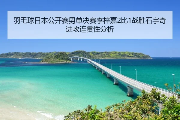 羽毛球日本公开赛男单决赛李梓嘉2比1战胜石宇奇进攻连贯性分析